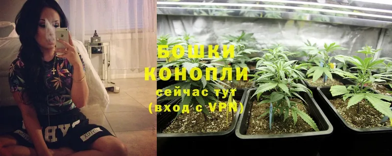 цены наркотик  Владивосток  Бошки марихуана Ganja 